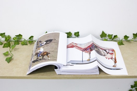 Celine Notheaux -edition vache-1-2-volet-2-imp