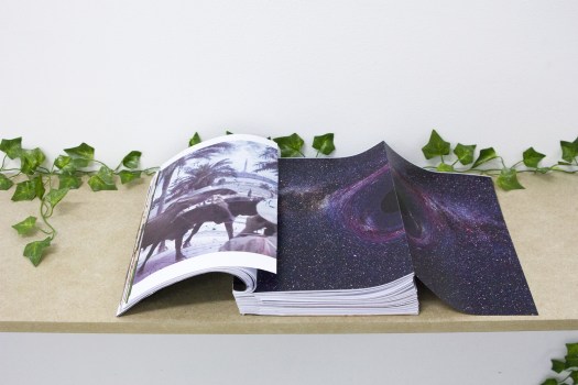 Celine Notheaux -edition vache-1-2-volet-3-imp