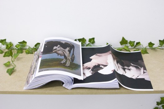 Celine Notheaux -edition vache-1-2-volet-5-imp