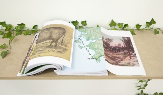 Celine Notheaux -edition vache-1-3-volet-1-imp