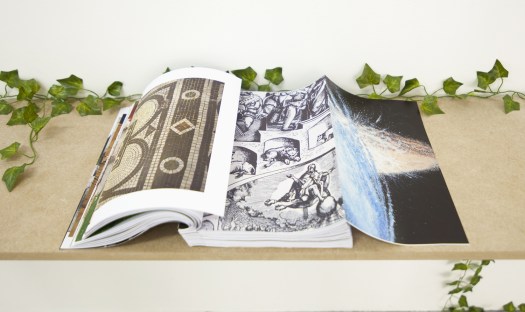 Celine Notheaux -edition vache-1-3-volet-2-imp