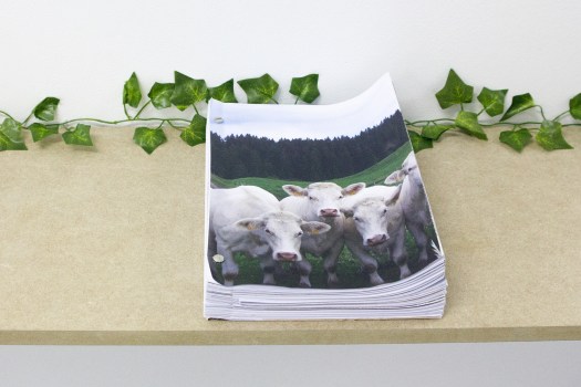 Celine Notheaux -edition vache-1-couv--imp