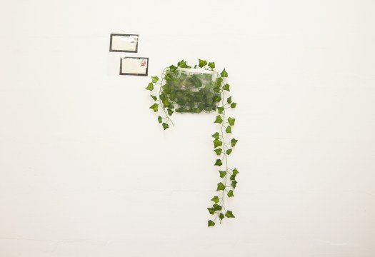 Celine Notheaux -timbre-vue-génerale-imp