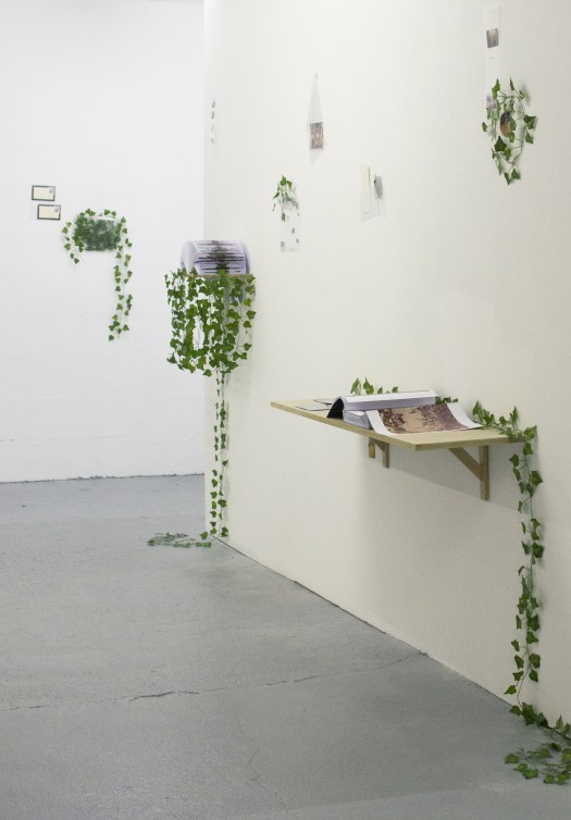 Celine Notheaux -vue-mur-tgc-imp