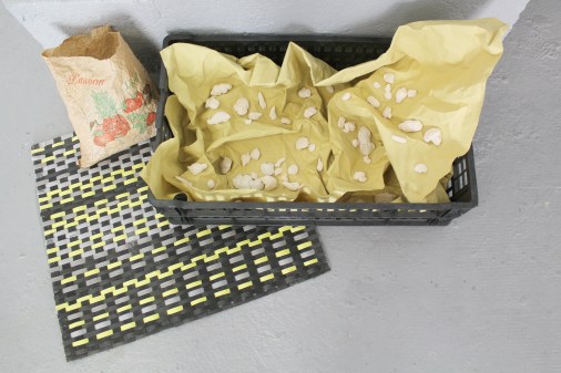 11-Il-y-a-des-aurores-Margaux-Auria-Celine-Notheaux-Passion-Detail01-2018