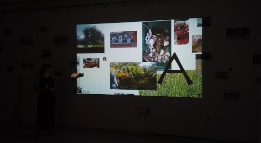 Celine Notheaux nos-outils-performance